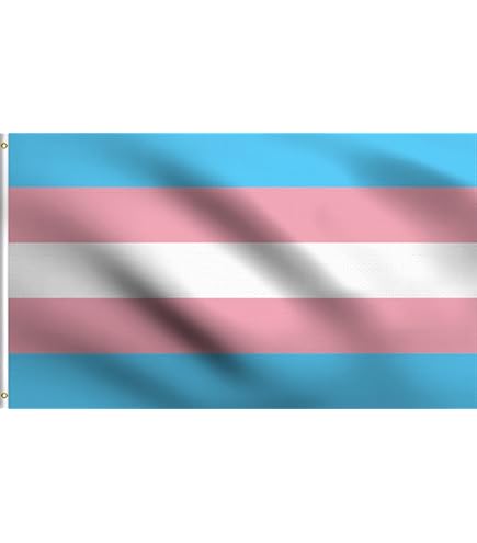 Gmeitoey Progress Pride Trans Inclusive POC Regenbogen-Flagge