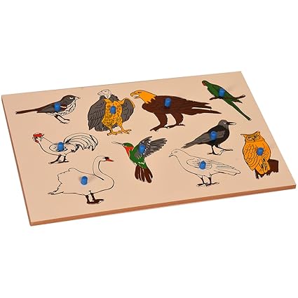 Kidken Montessori Inset Boards: Birds Toy for Develepment and Growth || Kids Playing Instrument