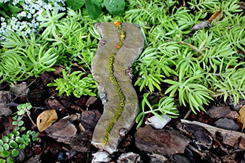 Pretmanns Fairy Garden Accessories – Kit with Walkway & Fences – 3 Pieces – Supplies by
