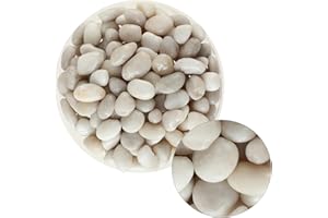 PLANTERHOMA 11 Lbs Natural River Rocks for Plant 1" - 2" Large Polished Landscaping Garden Stones Aquarium Gravel Decorative White Pebbles for Indoor Outdoor Planters, Big Terrarium Rocks, Vase Filler, Home Décor