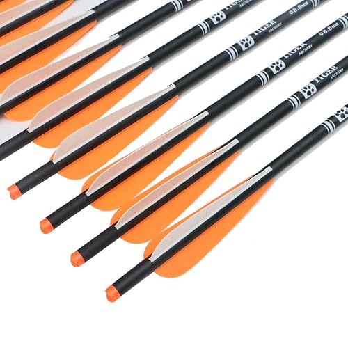 Target Practice Arrows 20 Inch Carbon Crossbow Bolts - 12 Pack With 125 ...