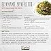 Explore Cuisine Organic Edamame Spaghetti - 8 oz, Pack of 2 - Easy-to-Make Pasta - High in Plant-Based Protein - Non-GMO, Gluten Free, Vegan, Kosher - 8 Total Servings