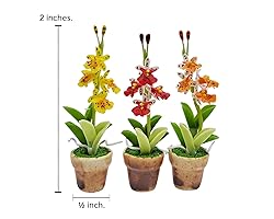 WitnyStore Tiny 2" High 3 Pieces Set Yellow Red