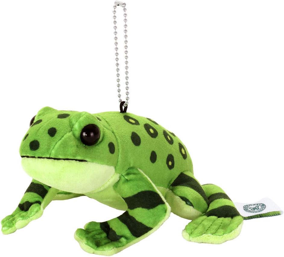 Amazon カロラータ オキナワイシカワガエル ぬいぐるみマスコット やんばるの生物 15cm 8cm 15cm ぬいぐるみ おもちゃ