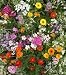 Fragrant Flower Mix - Grow Fragrant Garden Flowers. Includes: (1) Pre-seeded 17" x 5' Flower Seed Mat. Simply Roll out, plant and grow. Instant garden mat for flowering bushes. SEEDS OF: Celosia, delphinium, cosmos, globe amaranth, salvia, sunflowers, zinnia, marigolds and baby's breath