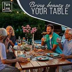 PURE LIVING INTERIOR DESIGN Small Dinner Plates Set