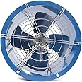 WDZCZDoo 10inch Utility Blower Fan Axial Flow Fan Pipeline Exhaust Fan, Low Noise Heavy Duty Cylinder Axial Exhaust Fan Extractor Fan Cylinder Pipe Fan Air Mover Blower Fan (10inch 180W)