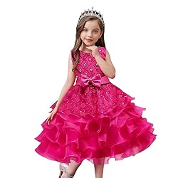 DreamHigh Wedding Flower Girl's Ruffles Lace Cute