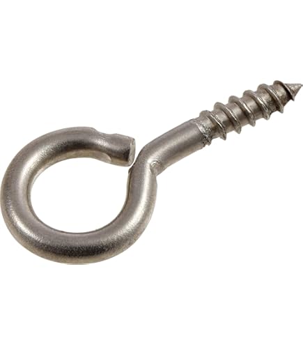 Hillman Ensemble De 6 Crochets à œil à Vis 126679 | RONA