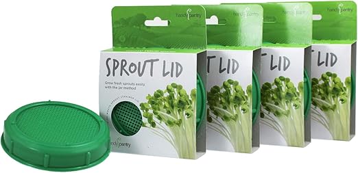Amazon Com Handy Pantry Sprouting Jar Strainer Lid Bpa Free