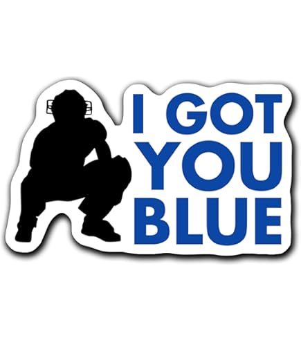 3pcs) I Love Umpires Sticker Funny Sarcastic Quotes Inspirational