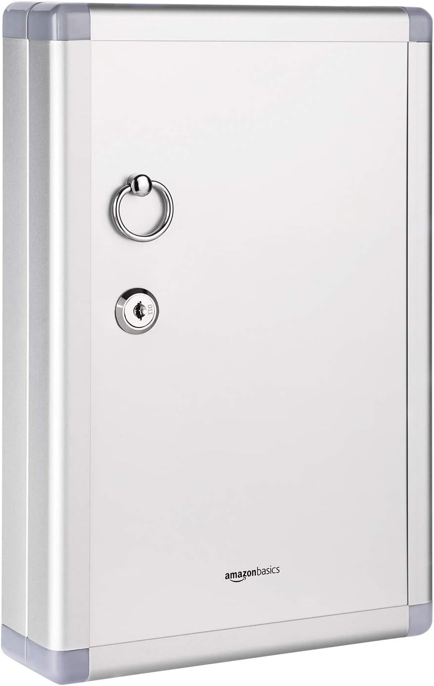 Amazon Basics 24 Key Position Cabinet lock Box, Silver, 31.8 D x 21.6 W x 2.5 H, 24 Schlüssel (6.1 x 21.6 x 31.8 cm)