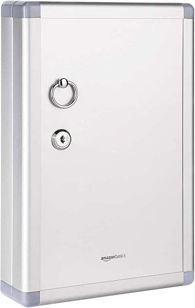 Amazon Basics 24 Key Cabinet Lock Box Silver 31.8 x 21.6 x 2.5 in