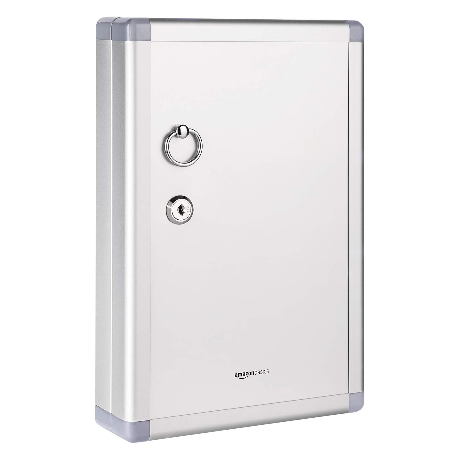 Amazon Basics 24 Key Position Cabinet lock Box, Silver, 31.8 D x 21.6 W x 2.5 H