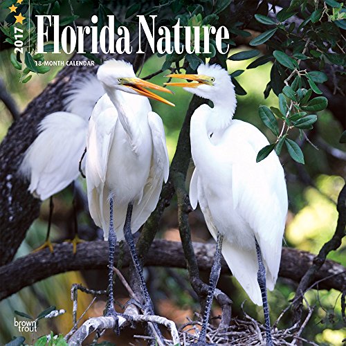Florida Nature 2017 Square Florida Nature 2017 Square