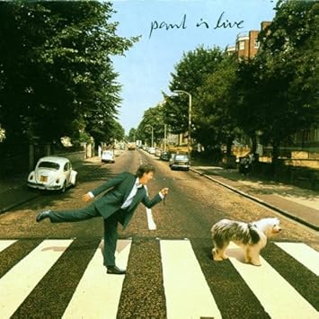 Image result for paul is live