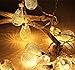 Goodia Battery Operated 10.5ft 30 LED Curtain Light/Golden String Lights for Indoor,Bedroom,Patio,Lawn,Landscape,Fairy Garden,Home,Wedding,Holiday,Christmas Tree,Halloween,Party (Warm White)