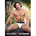 The Men of Falcon 2024 (Calendars 2024)