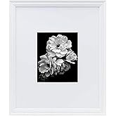 Studio Nova Picture Frame Displays 8 x 10 Photos 16 x 20 Without Mat, White