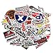 Racing Sticker Decorations for Motorcycle Skateboard Helmet 100PCS (2 x 50PCS) Vinyl Waterproof Stickers and Decals for Laptop Bike Bicycle Cars Bumper Stickers Pack