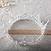 Lpteso SSNUOY Silver Plated Pearl Crystal Bridal Crown Princess Crown Headpiece for Woman