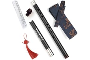 SUTILA Metal Xiao Flute Classical Vertical Musical Instrument Aluminum Two Section XIAO with Mouth Piece Professional Flute for Beginner (Key G)