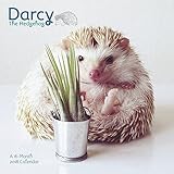 2018 Darcy the Hedgehog Wall Calendar (Day Dream) by 