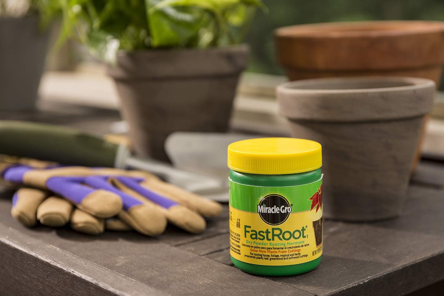 Miracle-Gro FastRoot1 Dry Powder Rooting Hormone 1.25 oz., Houseplant and Succulent Propagation, for Rooting House, Foliage, Tropical, and Hardy Ornamental Plants : Root Tone : Garden & Outdoor