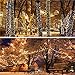POTIVE 2 Pack Each 200 LED Solar Christmas Lights Outdoor, 75.5 Ft Warm White Solar Outdoor String Lights, 8 Modes Solar String Light for Outside Christmas Tree Garden Patio Tree Valentines
