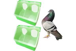 SRRPSPIGEON Pigeon Feeder Water 2 Pack Quail Bird Chicken Feeder Water Dispenser Drinkers with 2 Hole Pet Bowls & Feeders Eat Food (Two Hole (Green))