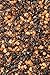 McCormick Gourmet Crushed Chipotle Pepper, 1.5 oz