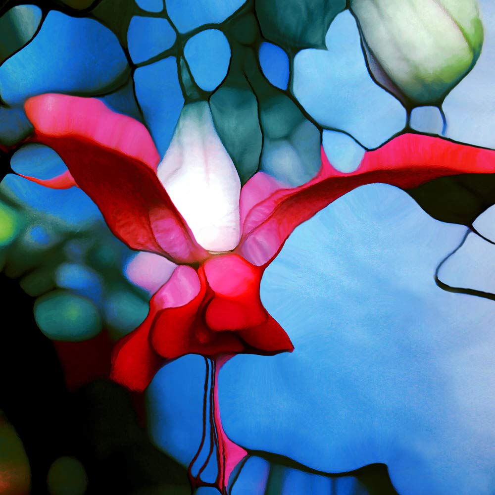 International Graphics - Finished Picture - Renate M., Schmidt - ''Blütenzauber''- 30 x 30 cm - Direct printing on acrylic glass