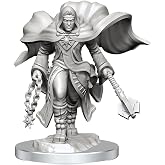 WizKids D&amp;D Nolzur's Marvelous Miniatures: Aasimar Cleric Male