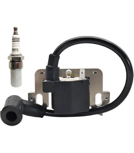 Amazon.com: Honda 30500-ZL8-014 Ignition Coil Assembly