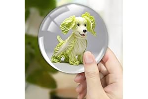 Round Crystal Glass Fridge Magnet Sticker Lettuce Dog Novelty Design - 1.37inch Cute Fridge Decoration for Kitchen, School, W