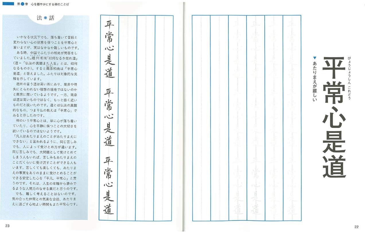 人気商品は 即決 書き込み式 美しいことばの練習帳 Lacistitis Es