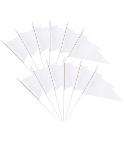 Bandera Anley Bi Pride, Poliéster, 90 X 150 Cm, Paquete De 2 | Cuotas