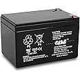 12V 10Ah Battery Sealed Lead Acid Deep Cycle Rechargeable Battery SLA AGM Battery with F2 Terminals Compatible with Long Way LW-6FM10, 12V 12AH Battery Replacement