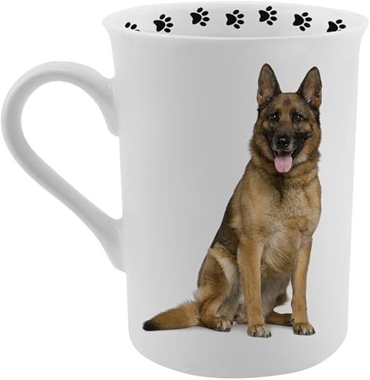 nature's promise dog food stop and shop