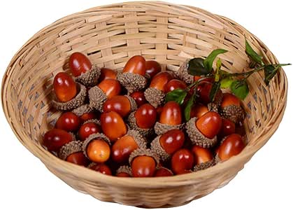 Domire 20 Unidades de glande Artificial falsificado Nutty falsificadas