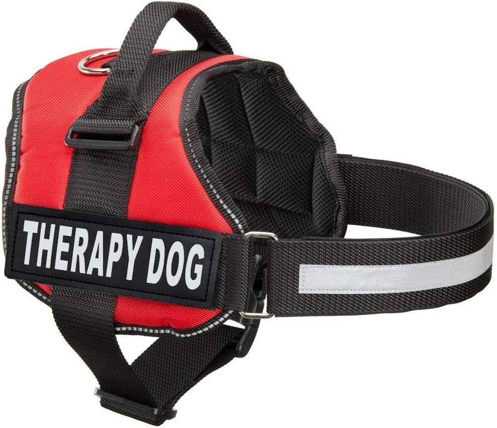 mange on puppies pictures