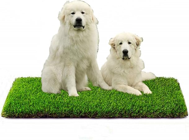 amazon dog grass pad