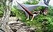 ENO, Eagles Nest Outfitters DryFly Rain Tarp, Ultralight Hammock Accessory, Charcoal
