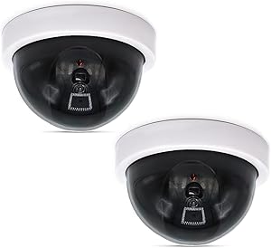 WALI Dummy Fake Security CCTV Dome Camera (SDW-2)