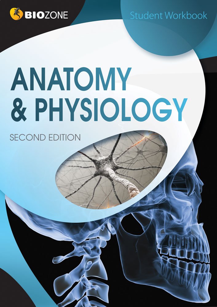 Anatomy Coloring Workbook Second Edition Anatomy Coloring Workbook Second Edition