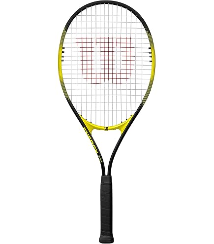 Amazon.com : Wilson Blade 101L V9, Very Light, 16x20 String
