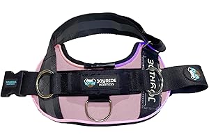 Joyride Harness LED Light Up Dog Harness 2.0 - Patent Pending Design, 3 LED Modes, Vibrant Rechargeable Lighting, Customizable Name Tag Area, and Convenient On/Off Button for Enhanced Pet Safety