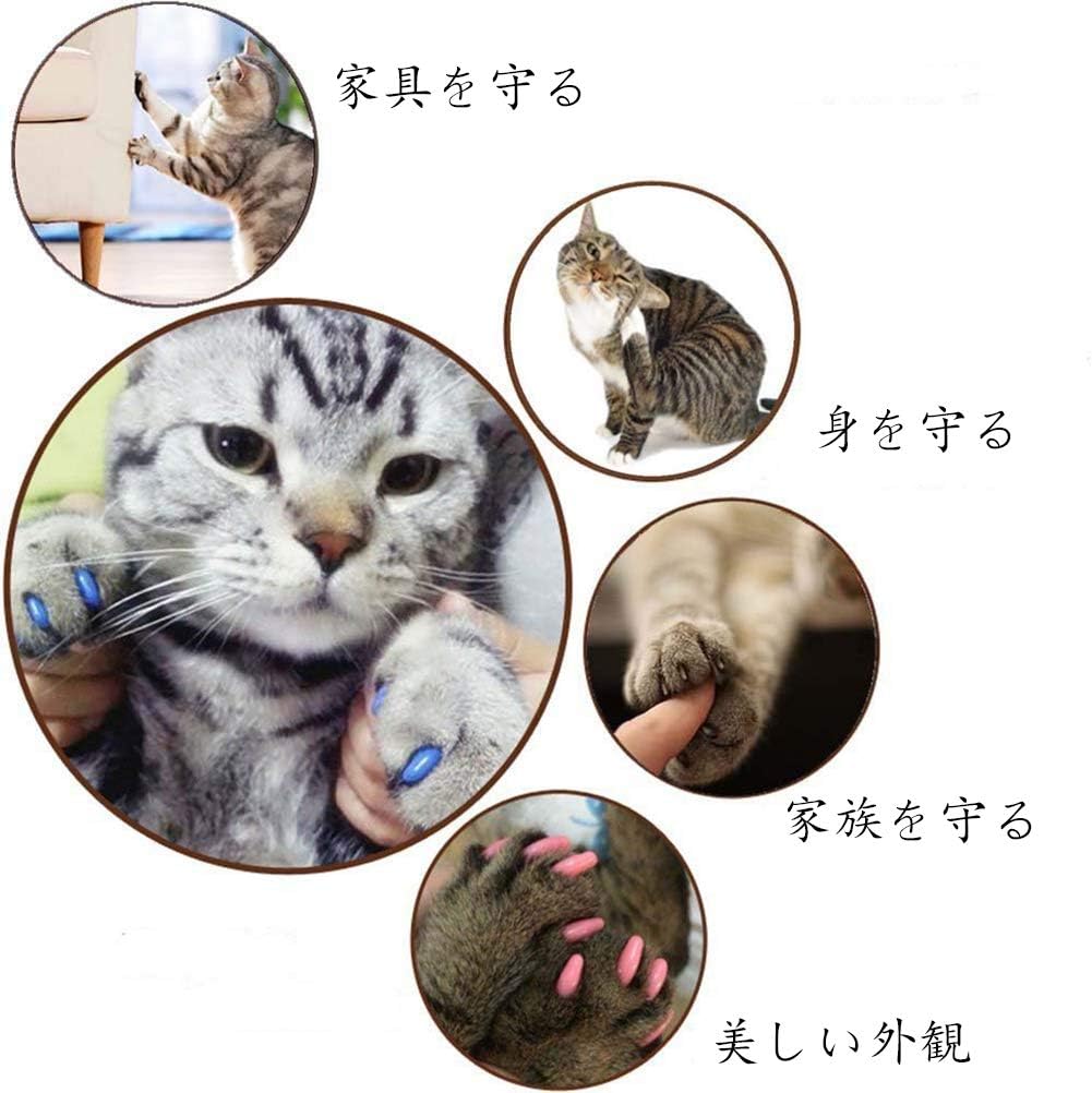 Amazon Tikdok 100個 ソフトペットキャットネイル キャップ 猫足グルーミングネイル爪キャップ 5種類のカバー 5枚 接着剤 Xs Tikdok 爪切り ネイルケア 通販
