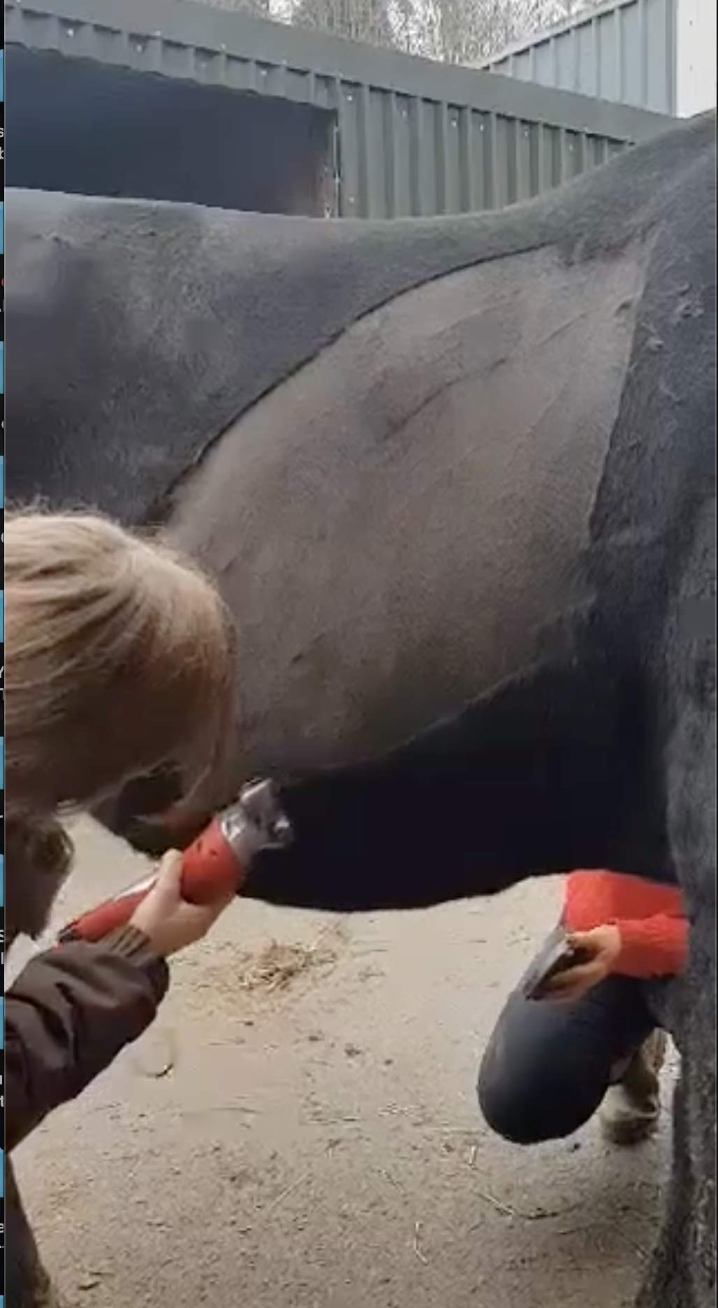 easytrek clipper blades