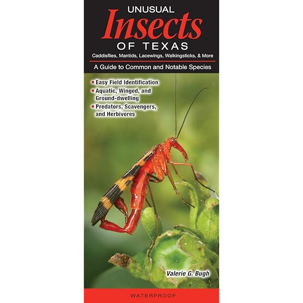 Bug Of Texas: Identification Log Book for Insect Enthusiasts